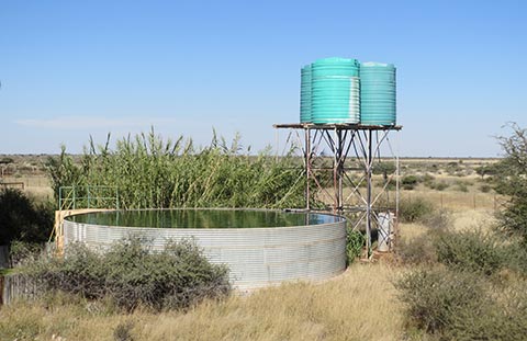 FLI Namibia Water Pool
